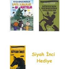 İş Bankası Kültür Yayınları Kara Kargalar Ile Ak Martılar + Dünyanın Merkezine Yolculuk + Siyah Inci Hediye