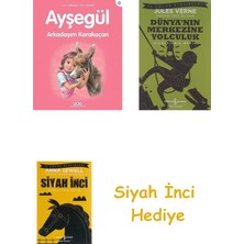 İş Bankası Kültür Yayınları Ayşegül - Arkadaşım Karakaçan + Dünyanın Merkezine Yolculuk + Siyah Inci Hediye
