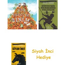 İş Bankası Kültür Yayınları Bütün Havuçlar Benim + Dünyanın Merkezine Yolculuk + Siyah Inci Hediye