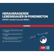 Profesyonel 1x Uzman Â € ~aerated Concreteâ € ™ S 1141 Hm Tilki Testere (Gaz Beton Için, Uzunluk 225 Mm, Aksesuar Tilki Testere)