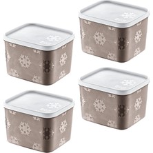 4'lü Set No Frost Saklama Kabı Terra 1250 ml
