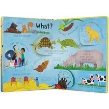Lift-The-Flap Questions And Answers About Animals