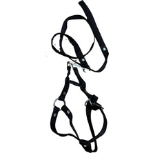 Pink Shadow Küçük ve Orta Irk Köpek Tasma Takımı