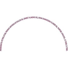 Lip Therapy Rose Dudak Bakım Kremi 20 G