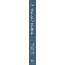 Kralların Devrilişi: Troya 3. Kitap