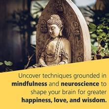 Buddha's Brain: The Practical Neuroscience Of Happiness, Love, And Wisdom