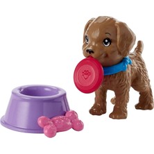 Orjinal Barbie'nin Köpeği ve Aksesuarları