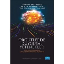Örgütlerde Duygusal Yetenekler: Çalışma Ortamında Duyguların Akıllıca Yönetimi