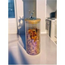 (9X20 Cm) 1 Adet Gökkuşağı Geyikli Cam Saklama Kavanozu Geyik Başı Gümüş Renk Hava Geçirmez Y-471,GÖKKUŞAĞI