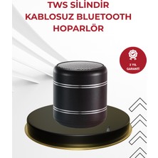Pusat Kompakt Silindir Metal Bluetooth Hoparlör 400 Mah Uzun Pil Tws Destekli