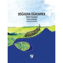 Doğadan Öğrenmek: Tırtıl Yazıları