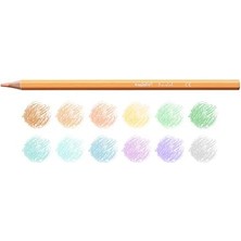 Pastel Renk Kuru Boya Kalemi 12'li