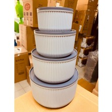 4'lü Modern Saklama Kabı Seti, Çizgili Bej Plastik, Bpa Içermeyen, Mikrodalga ve Dondurucu Uyumlu, 2.5L-1.5L-0.80L-0.45L Kapasiteli, Yuvarlak Tasarım