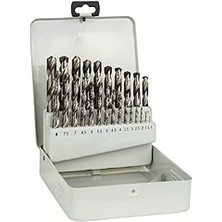 Professional Matkap Ucu, Gri, 25 Adet