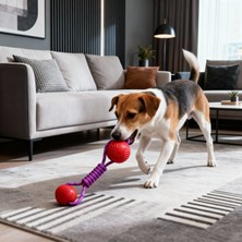 Runaway Kauçuk Toplu Köpek Oyuncağı Dayanıklı ve Eğlenceli