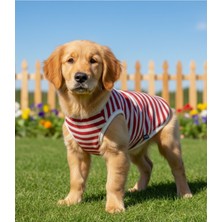 Kedi Köpek Atlet, Küçük-Orta Irk, Kedi Köpek Kıyafet