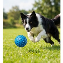 Runaway Dikenli Köpek Oyun Topu ve Diş Eti Masaj Aleti