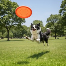 Runaway Silikon Köpek Frizbisi ve Taşınabilir Su Kabı