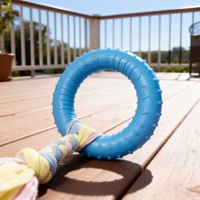 Runaway Köpek Diş Kaşıyıcı Oyuncak Çiğneme ve Oyun