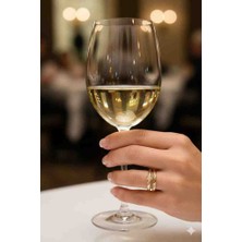 Stainles Steel Elegant Zirkon Taş Detaylı Çivi Formlu Ayarlanabilir Kadın Yüzük