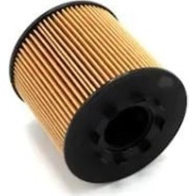 YAG FILTRESI MASTER II MOTRIO 8671095260