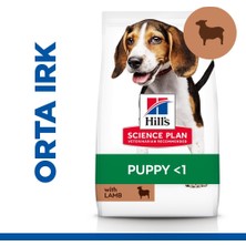 Hill's Scıence Plan Orta Irk Kuzulu ve Pirinçli Yavru Köpek Maması 2,5 kg