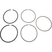 Briggs & Stratton Segman Takımı Std 493782