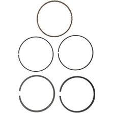 Briggs & Stratton Segman Takımı STD-020 795432