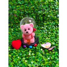 Ayıcıklı Fanus Özel Hediye