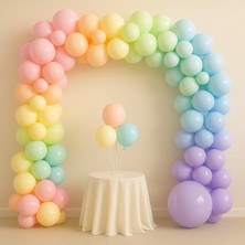 Balonsan Makaron Balon Seti 120 Adet ( Pembe-Sarı-Yeşil-Somon-Mavi-Lila )