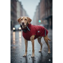 Su Geçirmez Softshell Köpek Yağmurluğu – Ayarlanabilir Boyun/göğüs, Tasma Fermuar Açıklıklı