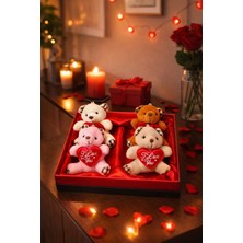 Home Dekor Hediye Sevgililer Günü Hediye Kutusu 4 Adet I Love You Temalı Peluş Ayıcıklı Romantik Hediye Seti Kutusu