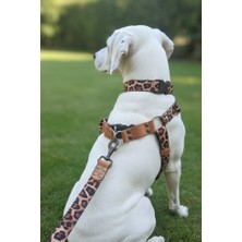 Balkonda Köpek Göğüs Tasması, Boyun Tasması Ayarlanabilir ve Gezdirme Kayışı 3'lü Set Leopar Desen