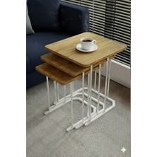 Dzgn Home Kardelen Gümüş Atlantik Mdf 3 Lü Kare C Zigon Sehpa