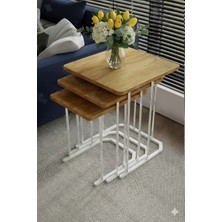 Dzgn Home Sakura 3'lü Metal Gümüş Atlantik Mdf Kare Zigon Sehpa Takımı Orta Sehpa Yan Sehpa