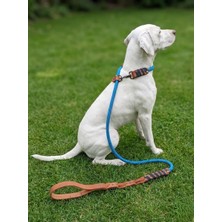 Balkonda Köpek Gezdirme Kayışı & Boyun Tasması Tek Ürün 12 cm Çap Iskoto Halat