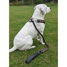 Balkonda Köpek Gezdirme Kayışı & Boyun Tasması Tek Ürün 12 cm Çap Iskoto Halat