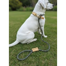 Balkonda Köpek Gezdirme Kayışı & Boyun Tasması Tek Ürün 12 cm Çap Iskoto Halat