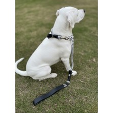 Balkonda Köpek Gezdirme Kayışı & Boyun Tasması Tek Ürün 12 cm Çap Iskoto Halat
