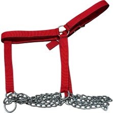 At Yuları 4 Katlı Zincirli Standart Boy