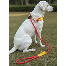 Balkonda Köpek Gezdirme Kayışı & Boyun Tasması Tek Ürün 6 cm Çap Iskoto Halat