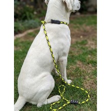Balkonda Köpek Gezdirme Kayışı & Boyun Tasması Tek Ürün 6 cm Çap Iskoto Halat