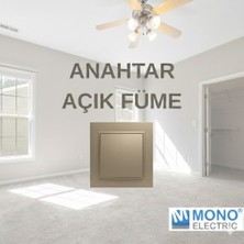 Mono Aydınlatma Anahtarı -Açık Füme