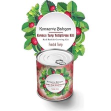 Easera Ticaret® Konserve Bahçem Evde Konservede Fındık Turp Yetiştirme Kiti