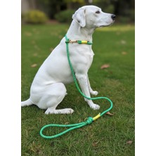Balkonda Köpek Gezdirme Kayışı & Boyun Tasması Tek Ürün 6 cm Çap Iskoto Halat