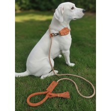 Balkonda Köpek Gezdirme Kayışı & Boyun Tasması Tek Ürün 6 cm Çap Hasır Halat