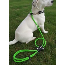 Balkonda Köpek Gezdirme Kayışı & Boyun Tasması Tek Ürün 6 cm Çap Iskoto Halat