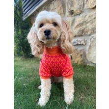 Maia Studio Vivetta Köpek Sweatshirt (Turuncu & Pembe)