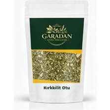 Yeni Mahsül Kırkkilit Otu (Equisetum Arvense) – Elenmiş, Doğal Kurutulmuş 200 gr
