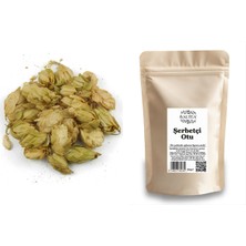 Baltea Şerbetçi Otu 50G